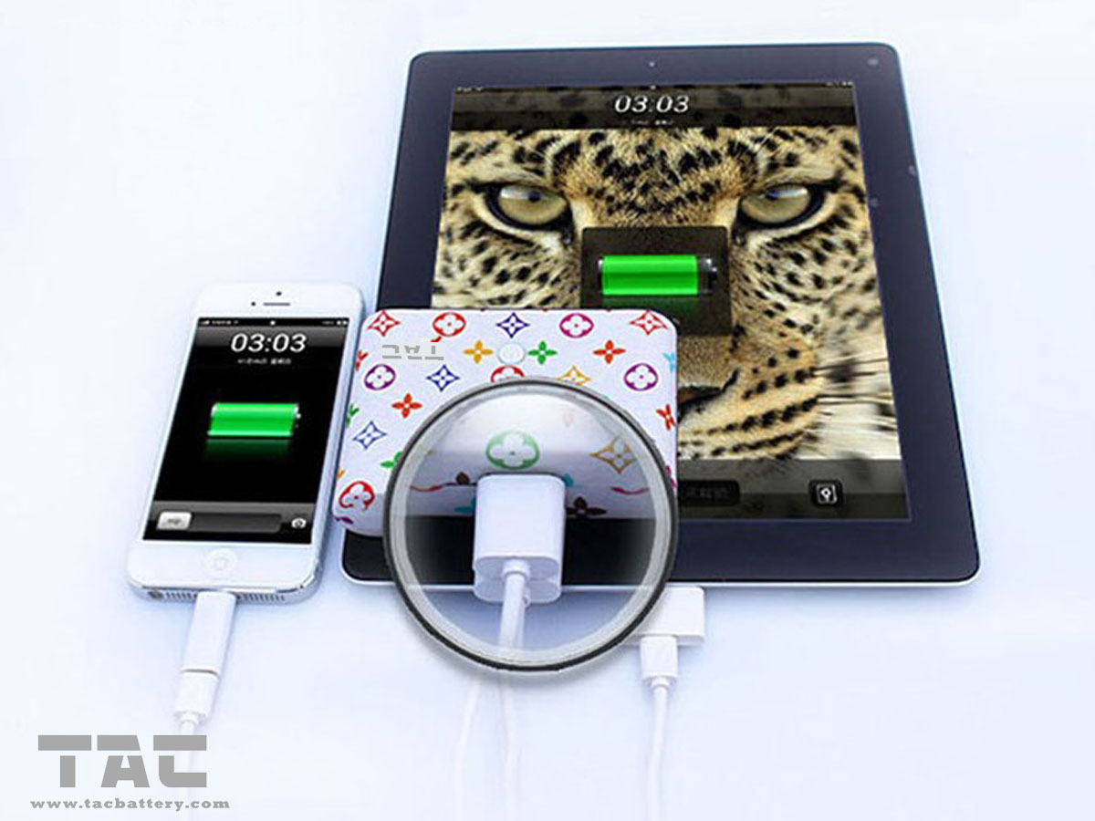 Цветастый внешний банк 10000mah силы батареи с двойным портом Usb для Ipad