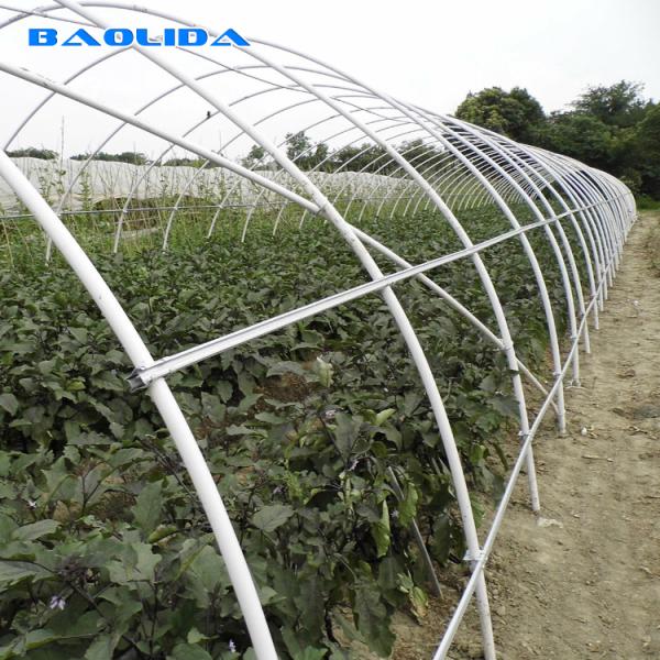 Анти- насекомое встает на сторону гальванизированный вентиляцией парник фильма полиэтилена парника тоннеля рамки