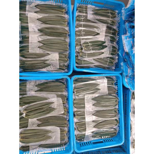 Vacuum-Packed Sushi Fresh Bamboo Hoba Leaf Leaves