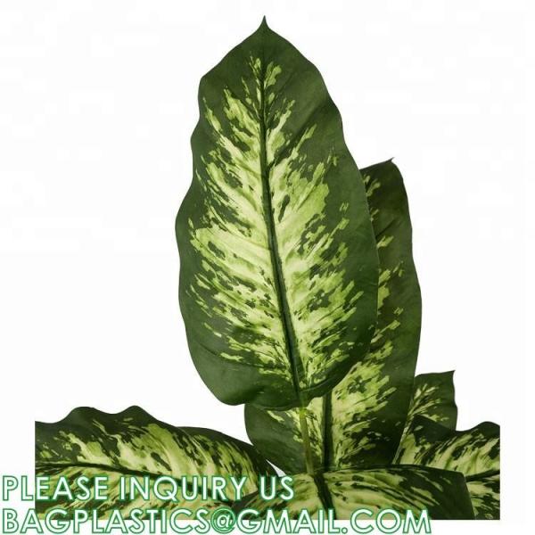 Artificial Green Dieffenbachia Plant 2 Pack - Faux Indoor Plant Spray - EverGreen Greenery For Home Or Office Decor