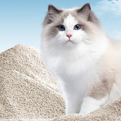 Plantation de déchets naturels en vrac de manioc pour chats à faible teneur en poussière