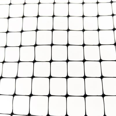 Garden Plastic BOP Net PP Anti Bird Nets for Chicken Farm Fence and Vineyard Netting