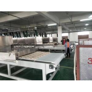 High Capacity Drying Solution Customizable Microwave Vacuum Dryer