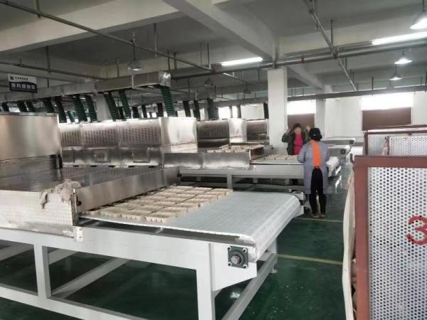 Customized Stainless Steel Microwave Vacuum Drying Equipment for Optimal Performance