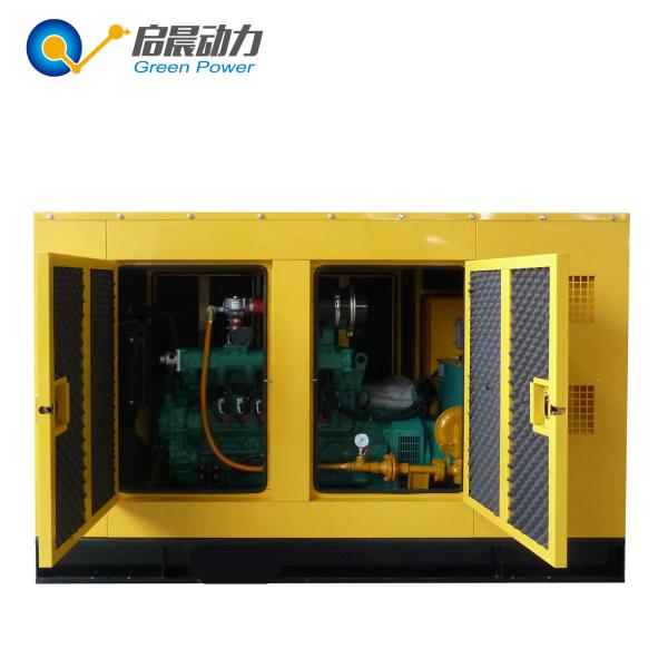 AC Three Phase CHP Lpg Power Generator With Silent Soundproof Canopy