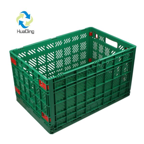 HDPE or PP Material Disposable Plastic Food Container for Fruit and Vegetable Storage