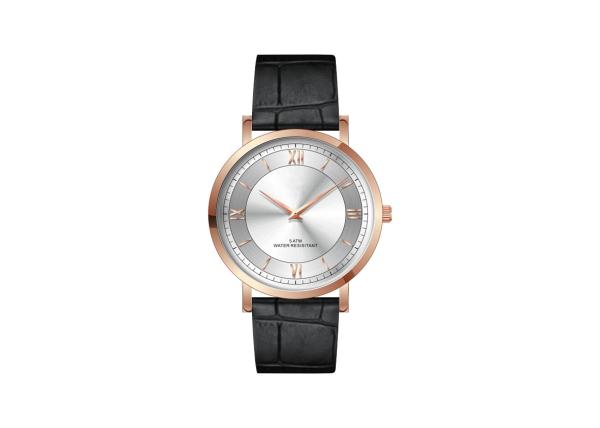 Interchangeable Strap Stainless Steel Quartz Dress Watch SS Back Cover