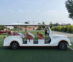 11-Seater Retro Style Electric Golf Cart with Li-ion Battery and Stylish Design Outlet