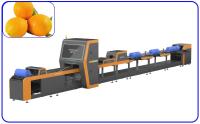 Trieuse à grande vitesse intelligente orange fertile de la machine d'évaluation 50Hz 380V