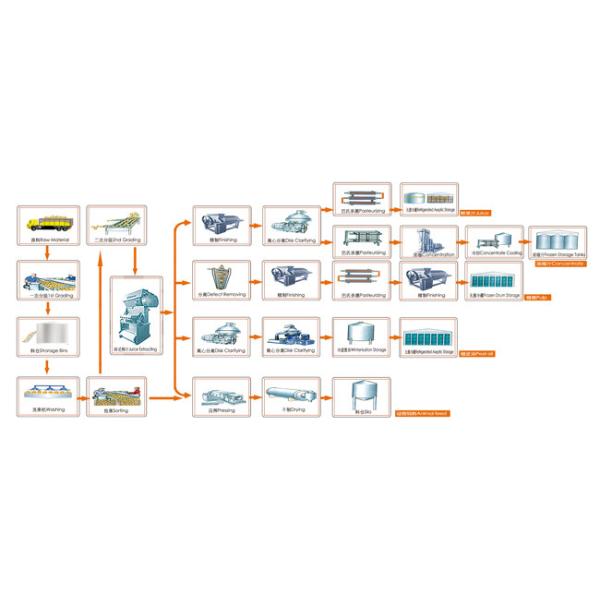 20 Tons / DayFruit And Vegetable Processing Line Citrus Extractor Stainless Steel Material