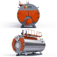 WNS série 10000kg caldeira de vapor horizontal gama completa de equipamentos personalizados