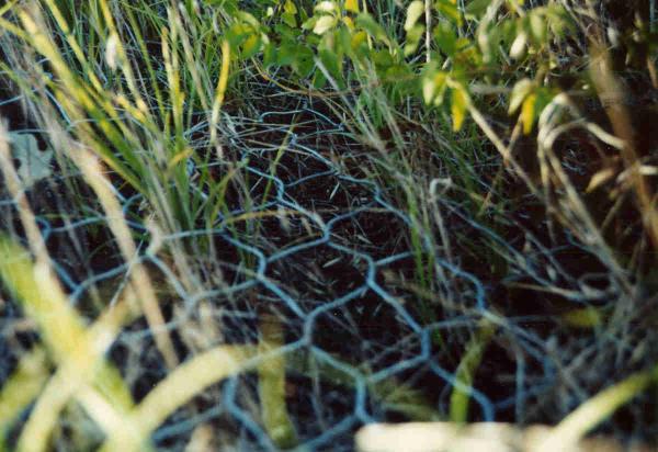 PE Coated Plastic Gabion Mesh Retaining Earth Or Water Structure