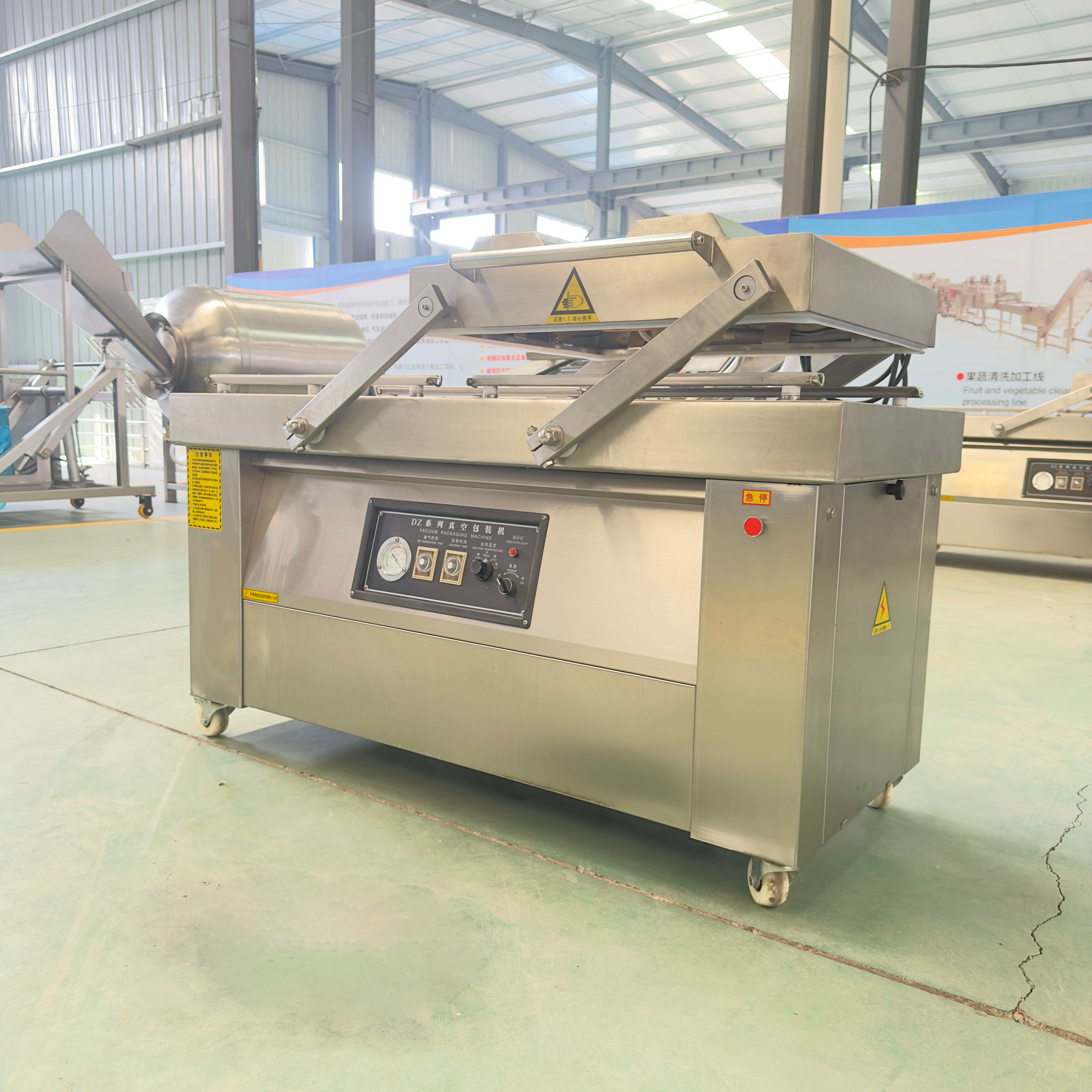 Automatic Electric Vacuum Sealer Pack Skin Packing Machine for Fruit Vegetable Filament Food