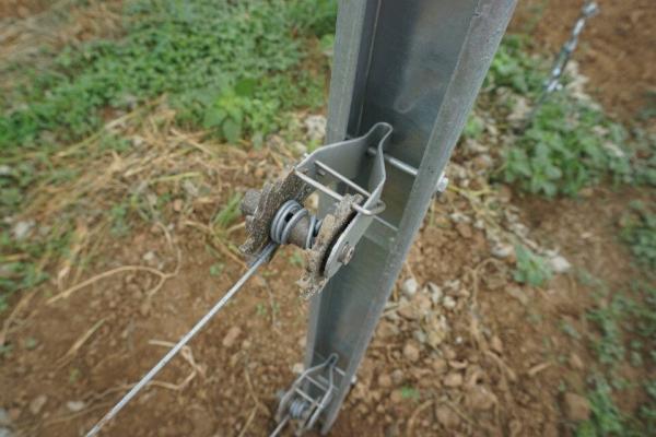 Grapery Standard Plant Support Posts With Full Size And Thickness