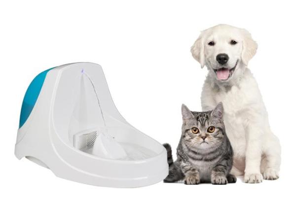 Large Capacity LED Electric Pet Water Fountain With Super Mute DC Pump