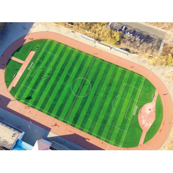 FIFA & FIFA2024 Certified Shock Pad Underlay with Customizable Thickness for Excellent Vibration Absorption in Sports Fields