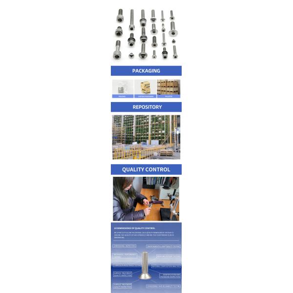 High Strength Custom Stainless Steel Hex Socket Screws AMSE DIN Standard