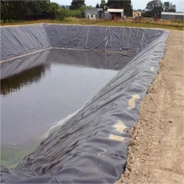 300 Micron 500 Micron 750 Micron Geomembrane Pond Liner for Reservoir Length 50m-200m/roll