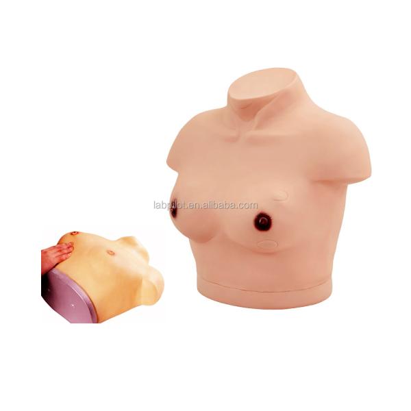 Vivid Female Torso Manikin with Breast Examination and Palpation Demonstration Model