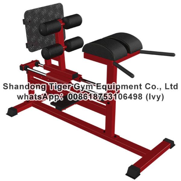 Gym Fitness Equipment Glut Ham Raise