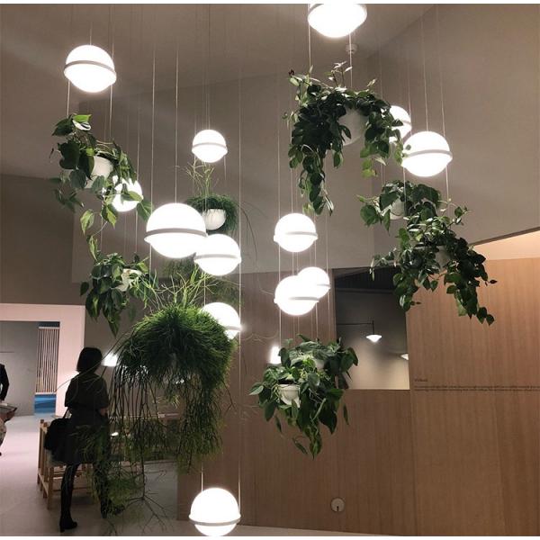 Plant Pendant Lights Modern Long Cord Plants Deco Chandelier Hanging Glass Ball Light(WH-GP-50)