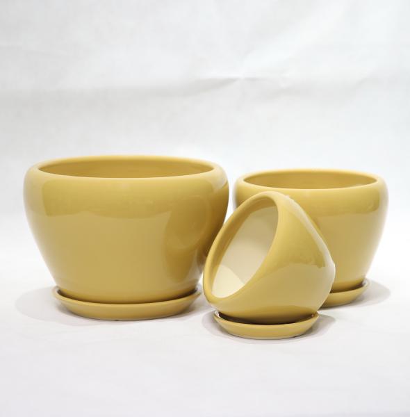 Stylish And Functional Ceramic Pots Perfect For Any Plant And Any Space