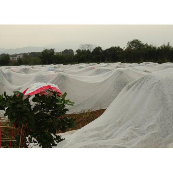 Thermal Insulation Agricultural Nonwoven Seeding Cultivation Water-Saving Weed Control