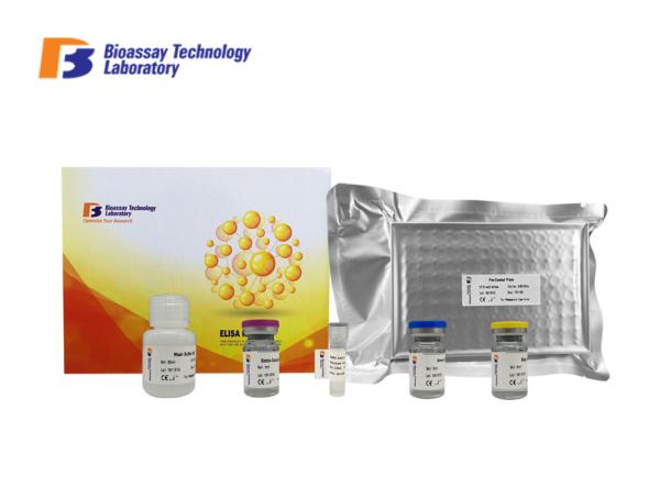 Customized Mouse Interferon Gamma ELISA Kit  High Sensitive Mouse IFNG ELISA Kit