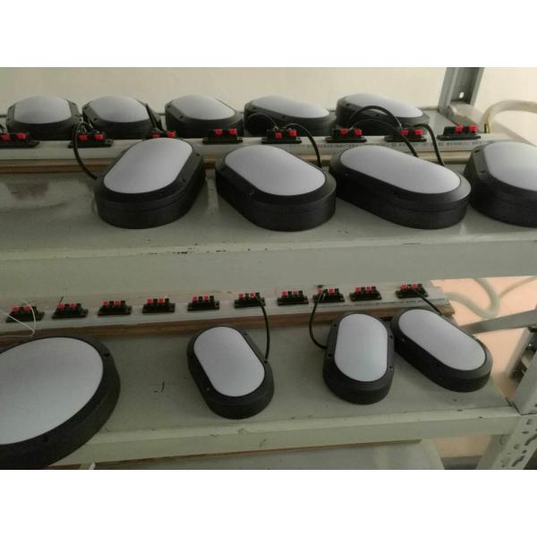 PF0.9 IK10 IP65 20W Oval Bulkhead Wall Light For Villa Project Lighting