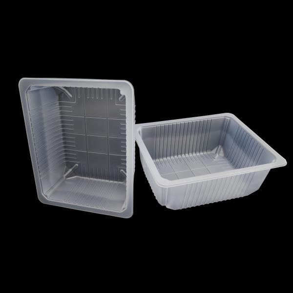 Food Grade PP Plastic Thermoformed Trays for Vegetables Herbs