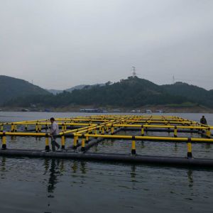Closed Anti-escape Fish Fingerling Cage