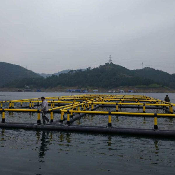 Square Fish Cage HDPE Floating Platform Featuring Corrosion Resistance Wave Resistance And Impact Resistance For Freshwater Aquaculture