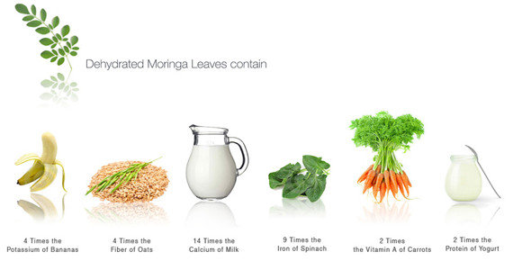 Hot Antitumor Lower Blood Sugar and Fat Product Moringa Leaf Extract