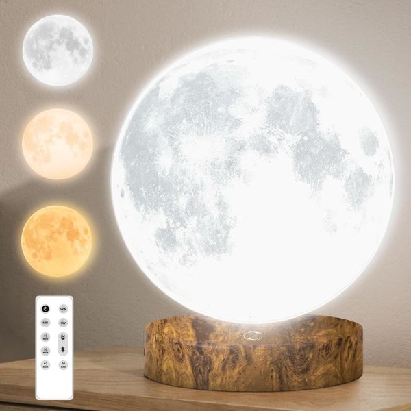10000 Lux Dimmable Daylight Therapy Lamp with 6000K Daylight Alert Moon Table Lamp