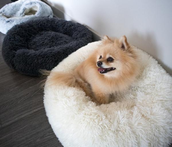 Fluffy Brown Pink Anti Anxiety Dog Bed 50cm 60cm 70cm Diameter Dog Mattress Bed Calming Dog Bed Donut Cat Bed