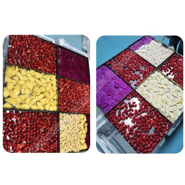 Fruits et légumes Fruits et légumes Viande et animaux de compagnie Machine de congélation