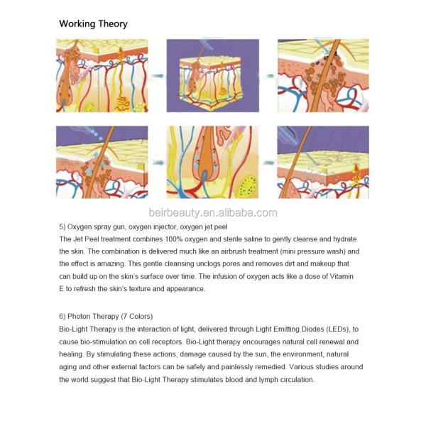 Multifunctional Beauty Therapy Machine Oxygen Jet Peel Facial Machine 11 In 1