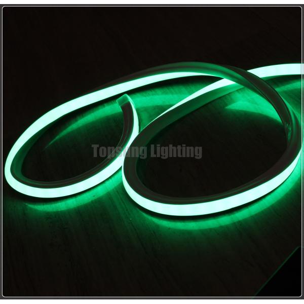 Venta total de luz de neón flexible para el hogar verde cuadrado 16*16m 220v