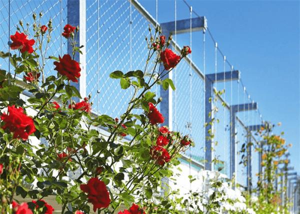 Garden Decorative Rope Mesh Fence Woven 316L Home Outdoor For Fence Panel