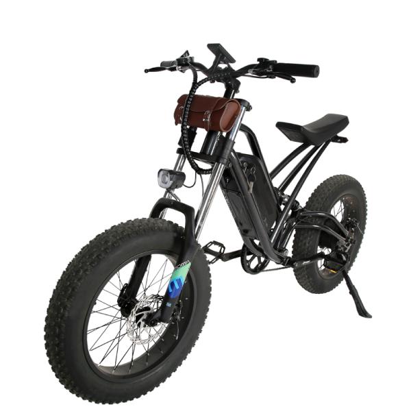 DOMANCA 750W High Speed Dirt Bike Off-road Fat Tire Ebike Customized E Bike Motorcycle