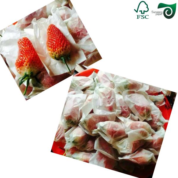 17gsm Lightweight Colorful Tissue Wrapping Paper 50cm 70cm  Ideal For Fruit Packaging FSC
