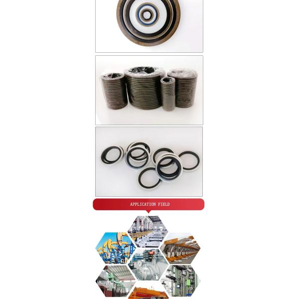 Нержавеющая сталь резина NBR склеенный герметический стиральщик Anti Abrasion