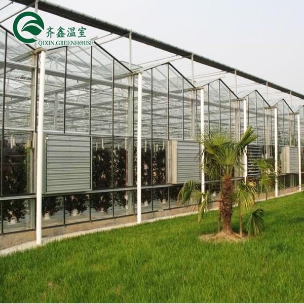 Hydroponic Supplies for Single-Span Greenhouses Cooling Irrigation Ventilation and More