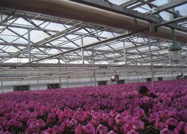 Hollow PC Sheet Greenhouse , Venlo Style Greenhouse Long Service Life
