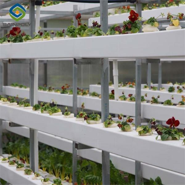 Transparent Large Commercial Greenhouse Agricultural Green House For Flowers