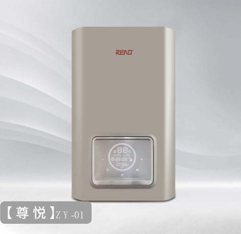 3C Gas Wall Hung Boiler Constant Temperature 24kw Lpg Combi Boiler Use Imported Wilo Pumps
