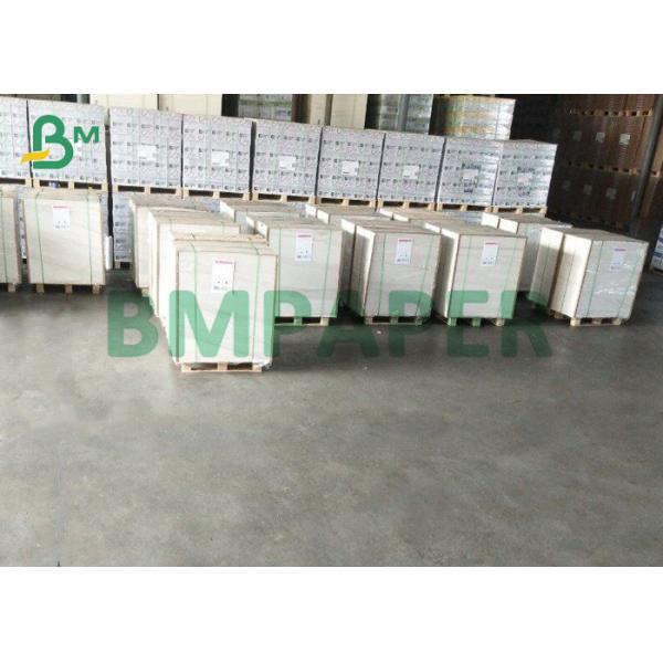300g + 20g PE Single Side Coated Food Grade White Cup Stock Paper