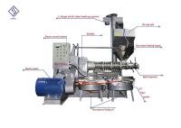 Aceite Presser del tornillo del girasol del filtro de vacío 30kw 450Kg/H