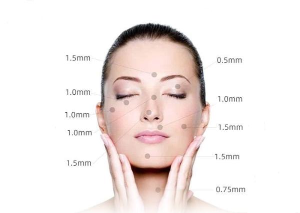 O A10 o mais atrasado Derma elétrico Pen Microneedlng Therapy System Needling Pen Skin Treatment