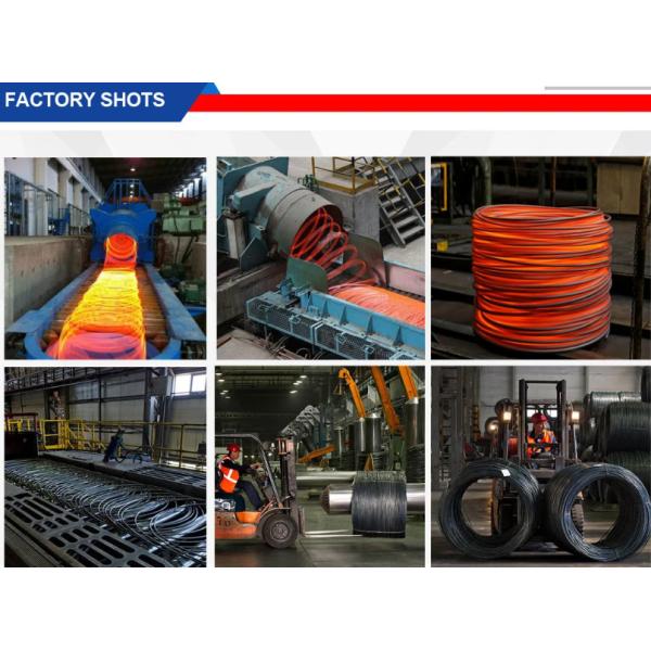 SAE1008b SAE1006 A53 Пролетная стальная проволока холоднотянутая горячо кованая углеродистая проволока